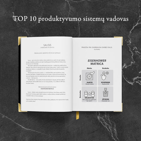 PREMIUM KLASĖS VERSLO STRATEGO DARBO KNYGA 2026 m. - COCO&CO